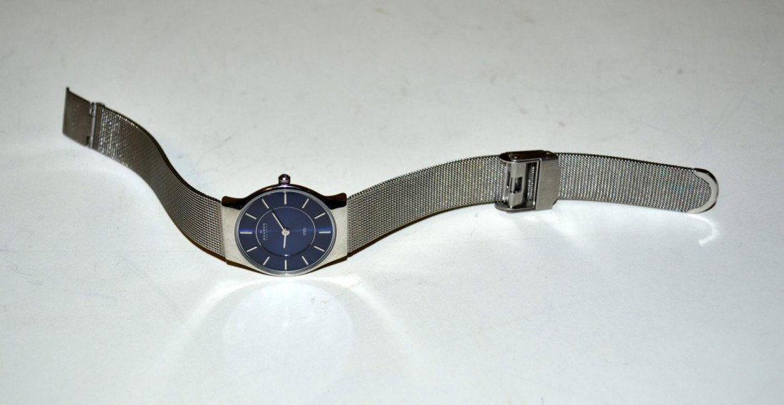 Skagen Wrist Watch: Skagen wrist watch.