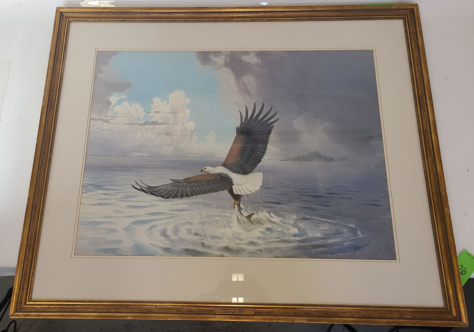 J.C. HARRISON: Eagle Fishing - Watercolor Painting (1 of 14)