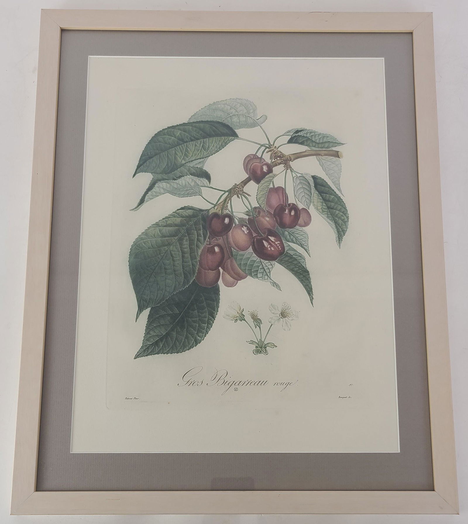 P.A. POITEAU: Cherries - Color Lithograph (1 of 12)