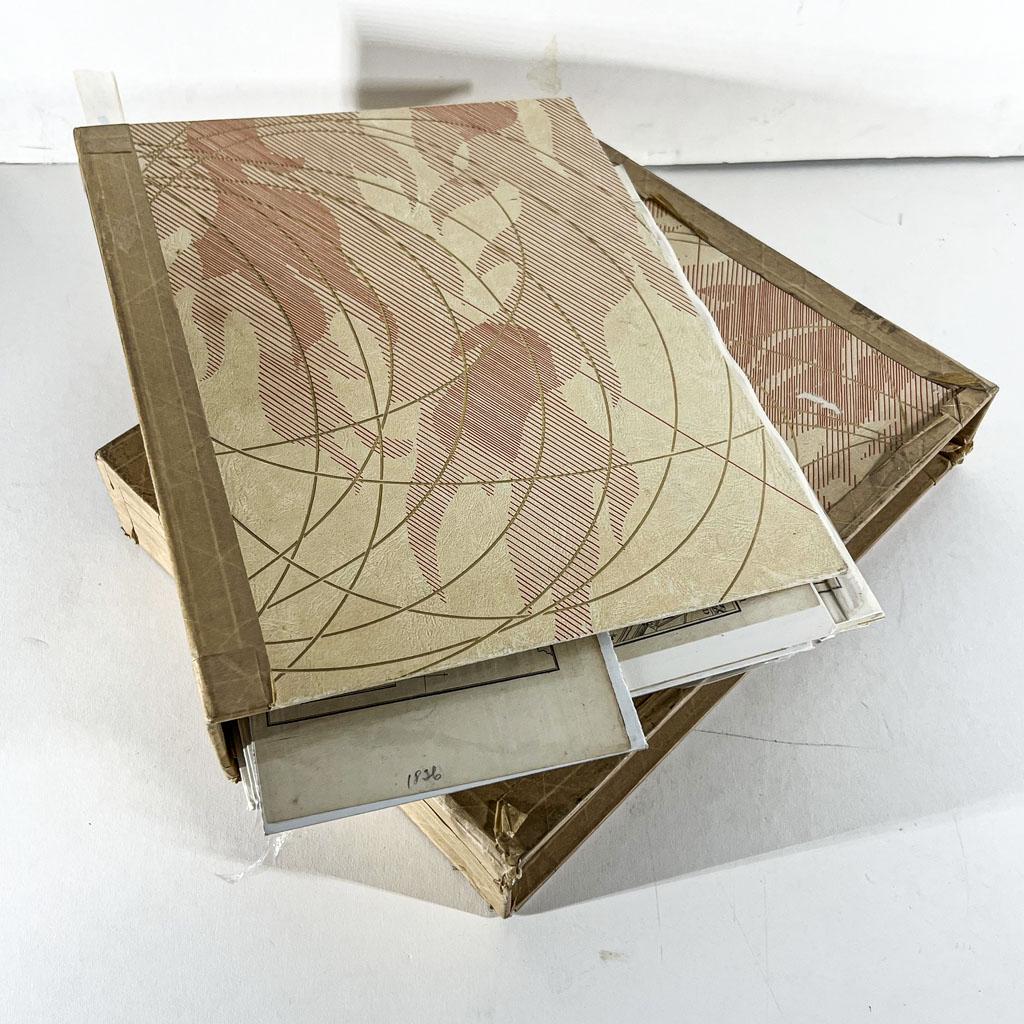 Box of 35+ Assorted 19th/20th C. Small Maps (1 of 10)