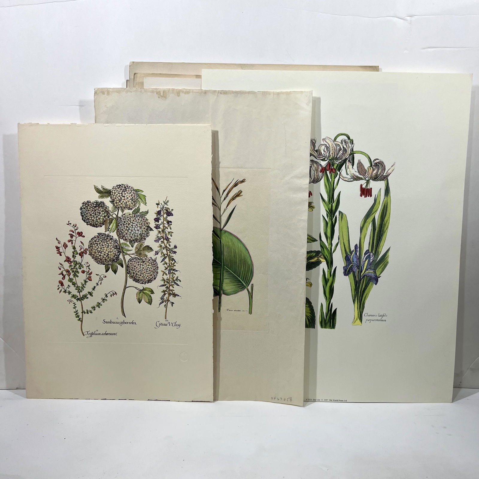Lot of Assorted Floral Prints (1 of 10)