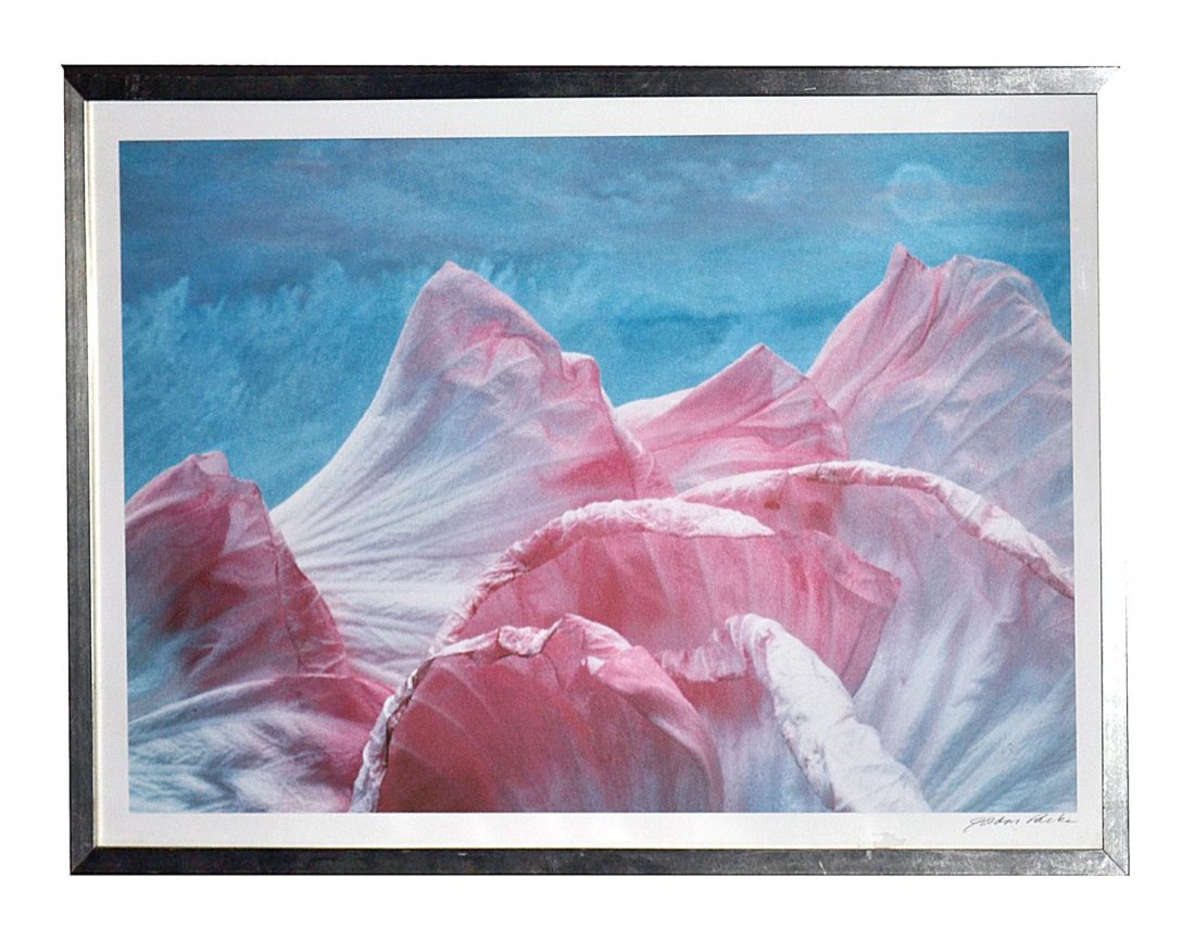 Gordon Parks Photograph- Floral Composition: Unique photographic print on arches paper. Depicts pink petals against a blue background. Signed in white margin at bottom right "Gordon Parks", in pencil. Bears embossed dry stamp below signature. Im