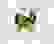 item-11232622=2