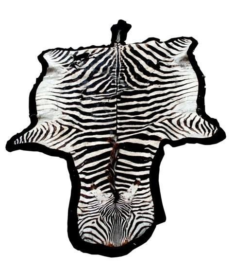 Zebra Rug: As is, glued, etc.