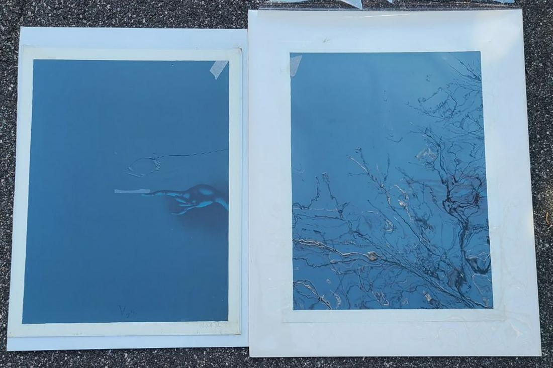 Paul WUNDERLICH: Hands - Two Lithographs (1 of 7)