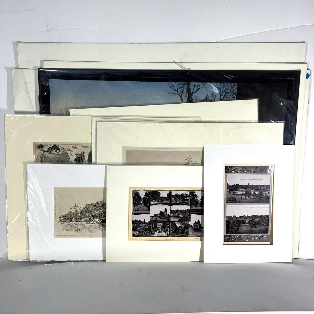 New York City: Central Park - (10) Prints (1 of 15)