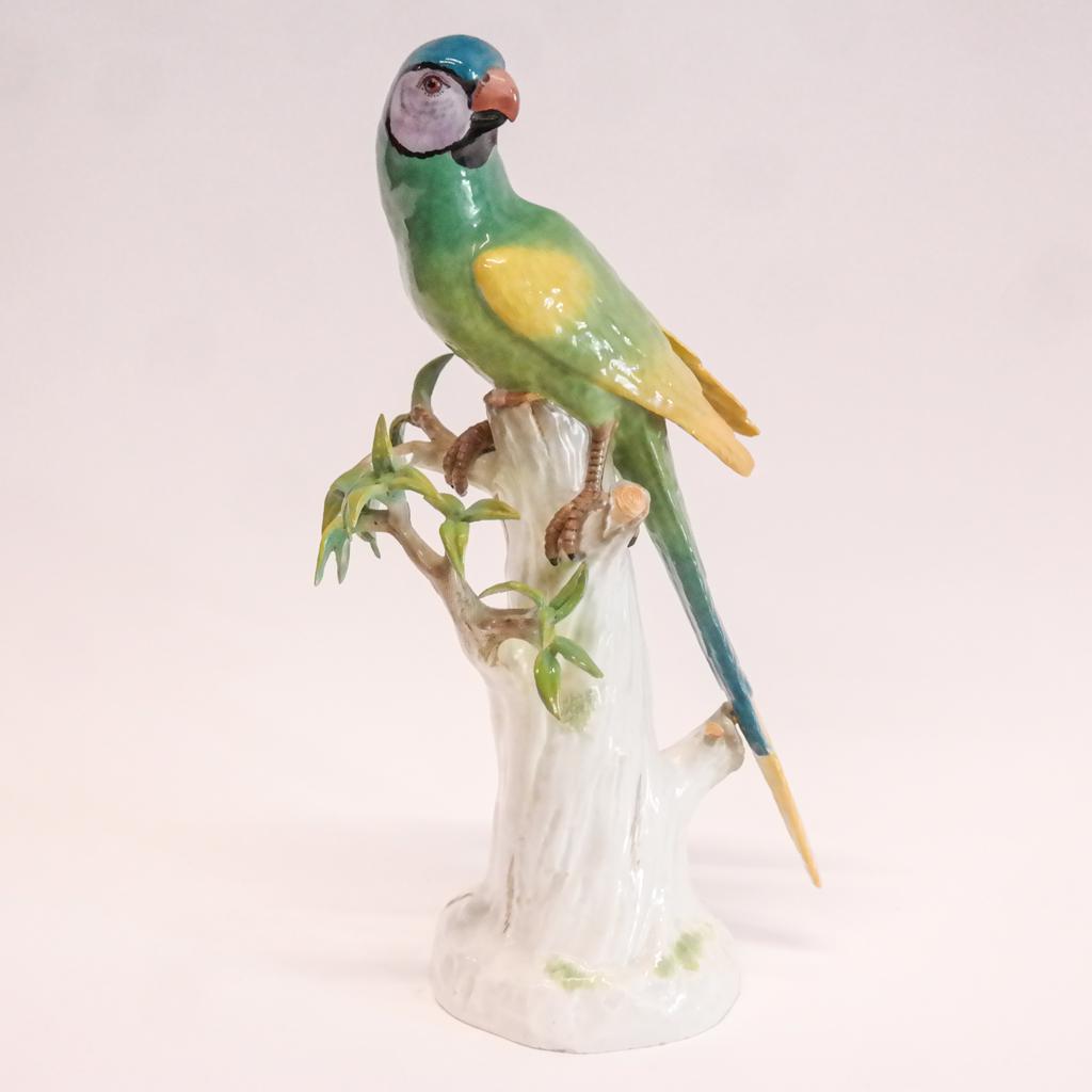Early Meissen Parrot (1 of 8)