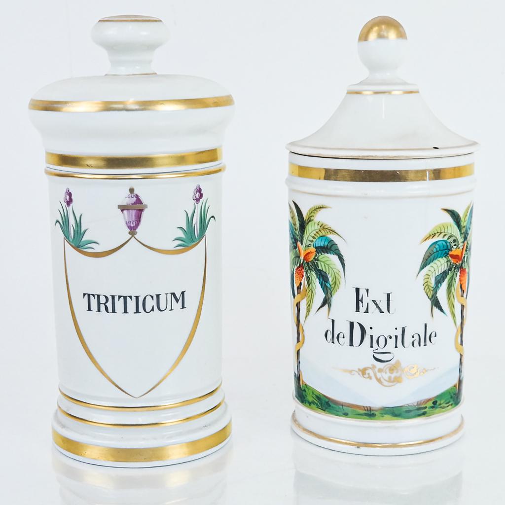 Two Continental Porcelain Apothecary Jars (1 of 8)