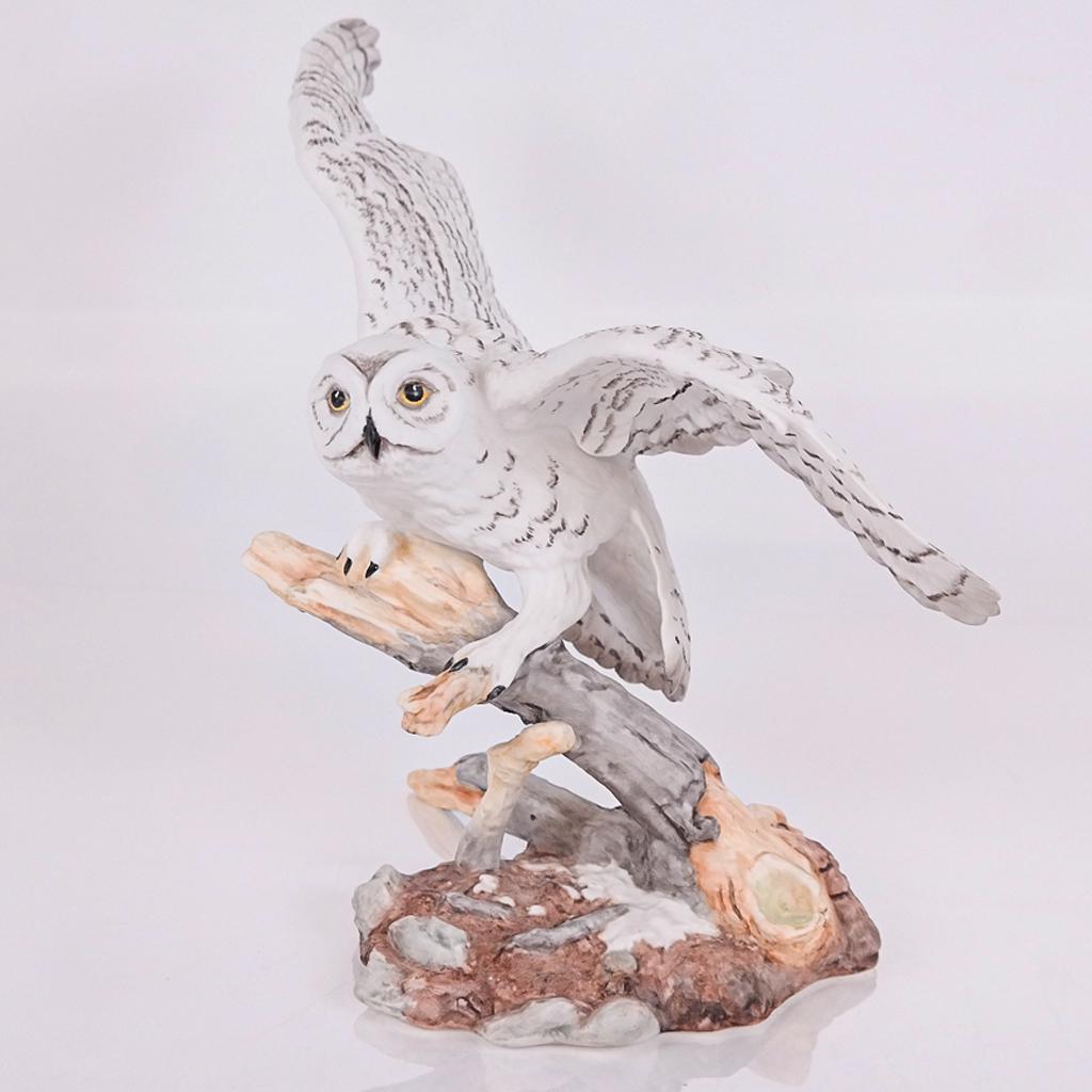 Boehm "Snowy Owl" Bisque Bird (1 of 11)