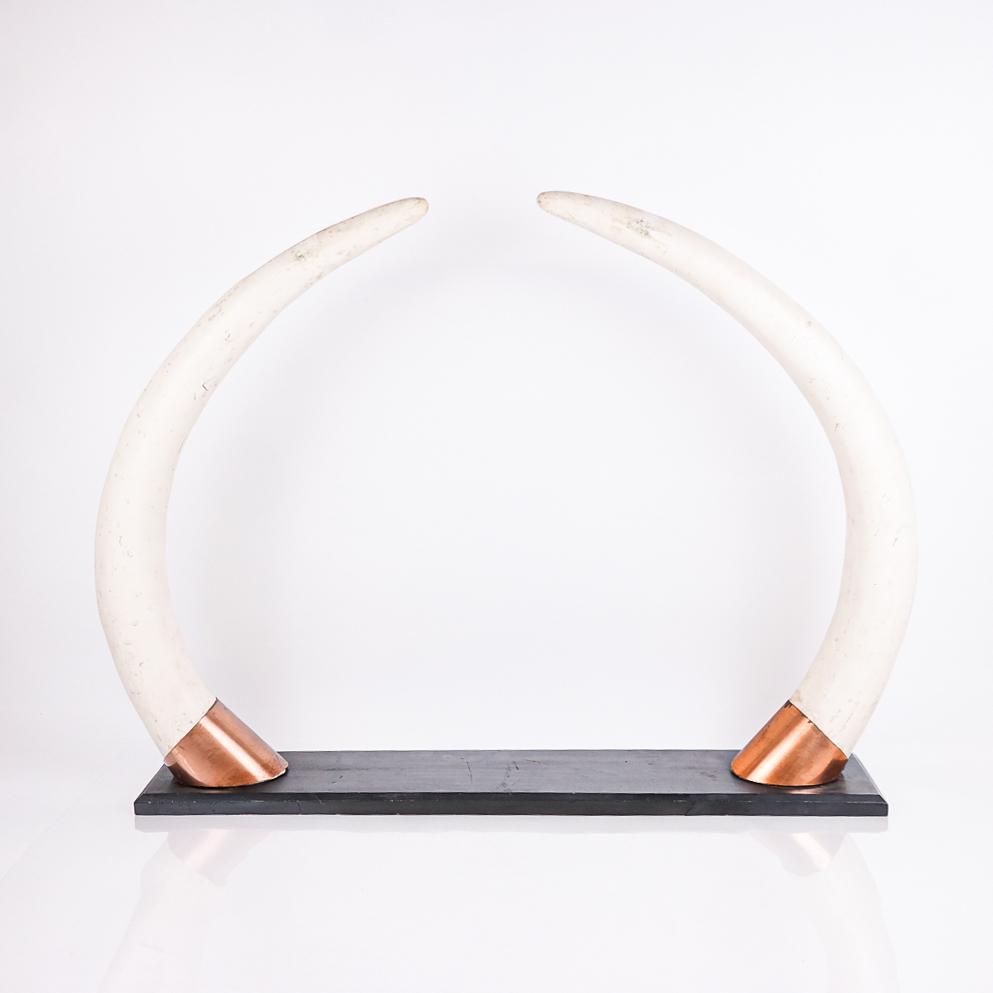 Pair of Decorative Faux Ivory Tusks (1 of 9)