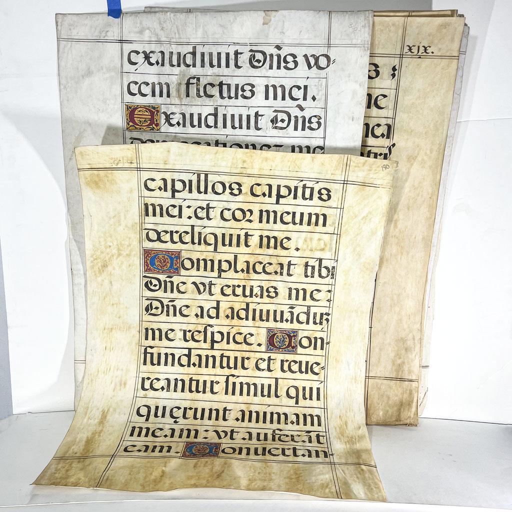 Eight 19th C. Latin Prayers on Goat Skin (1 of 11)