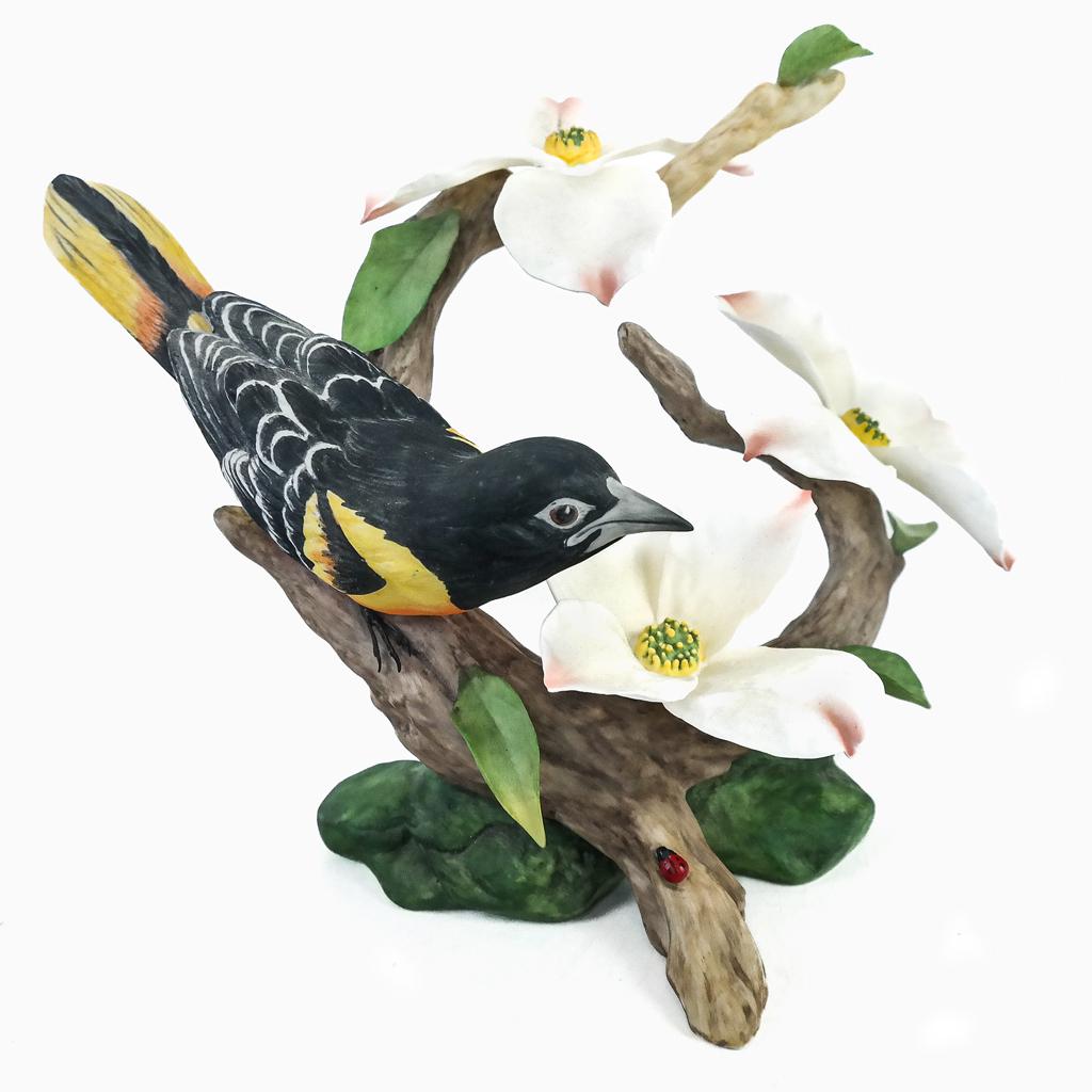 Northern Oriole Boehm Ltd Ed. Group (1 of 7)