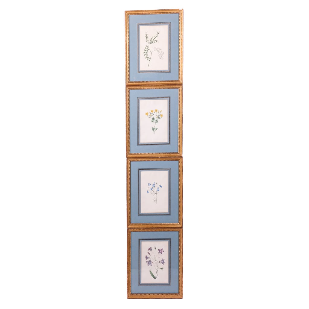 Set of Four (4) Framed Botanical Prints (1 of 12)