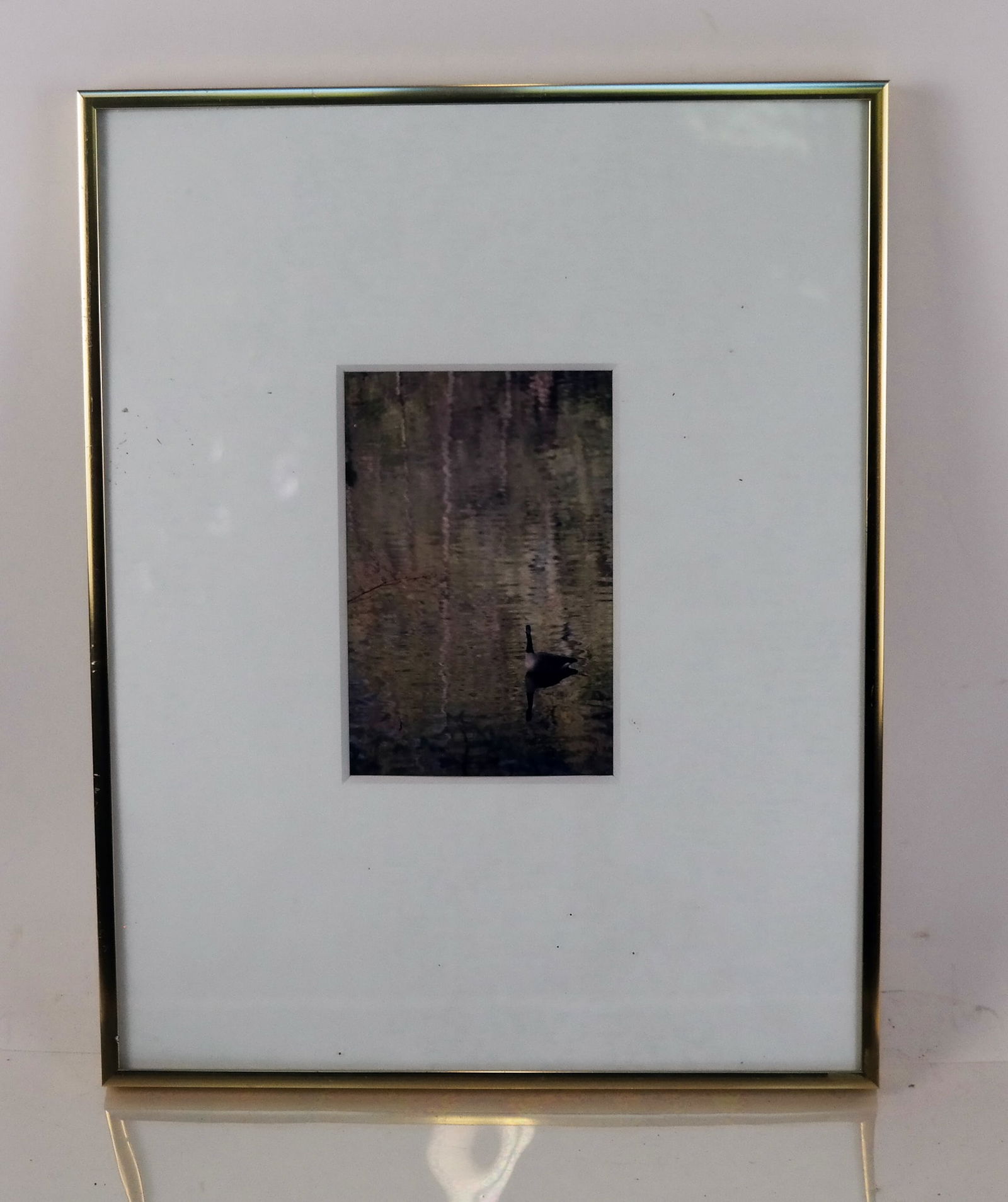 T.N. FLOURNOY: "Shimmer/Summer" - Photo Print (1 of 4)