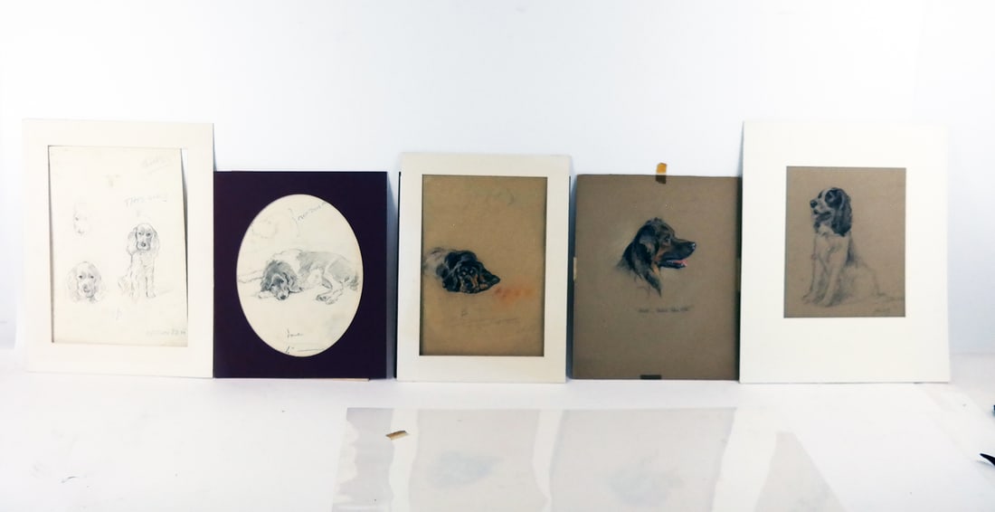 Lucy DAWSON: Five Drawings of Dogs (1 of 11)
