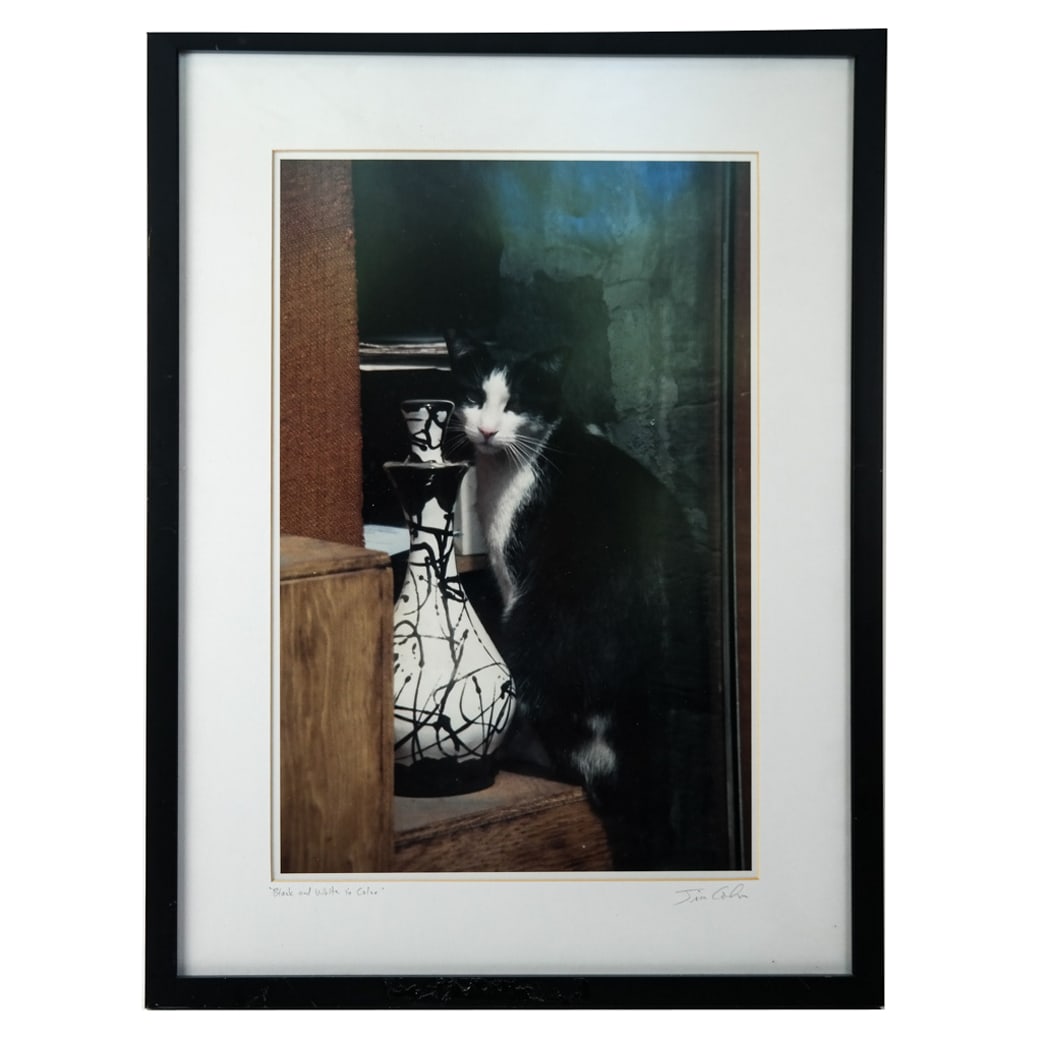 James COHN: Still Life - Color Photograph (1 of 12)