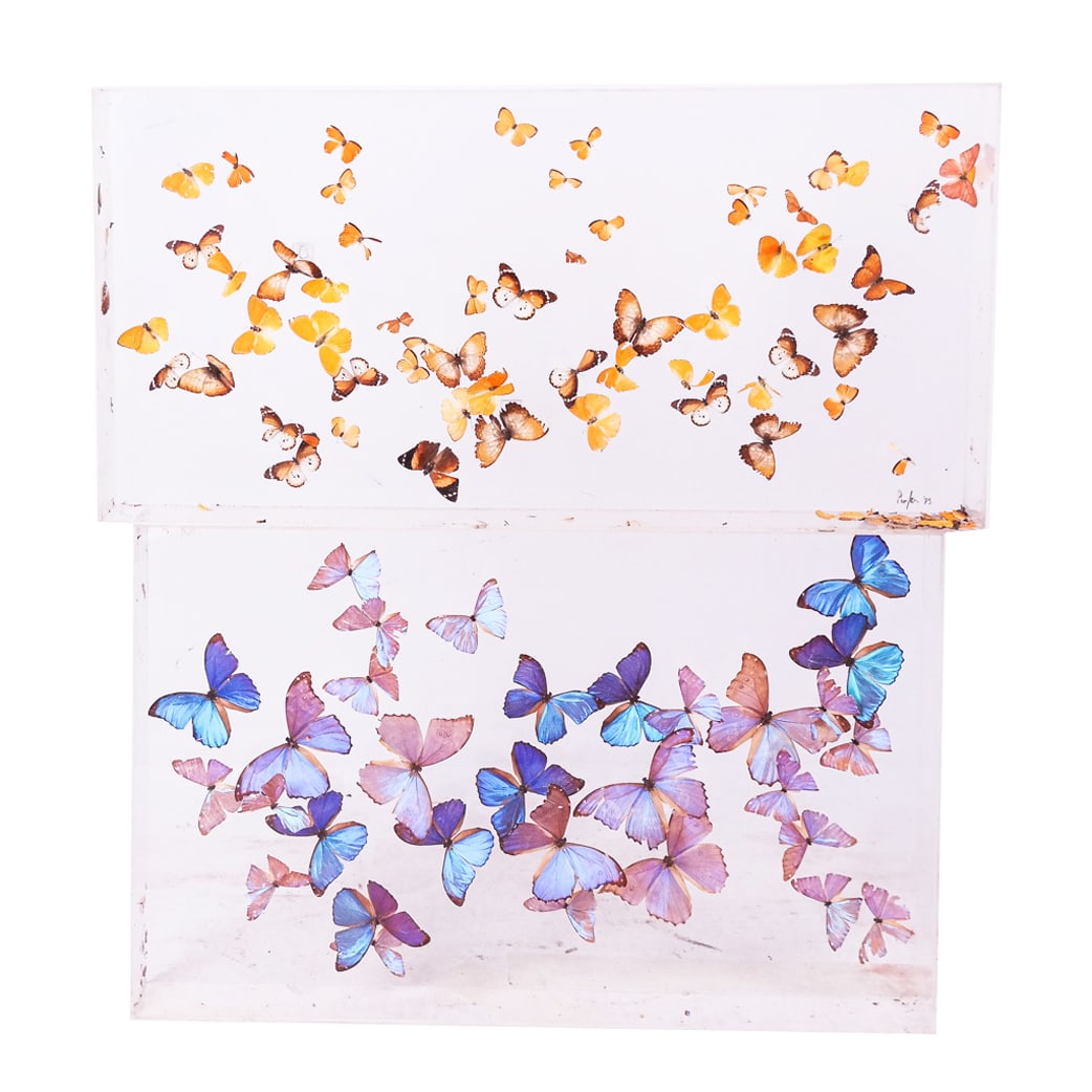 Two Lucite Shadowbox Frames Containing Colorful Bu (1 of 17)