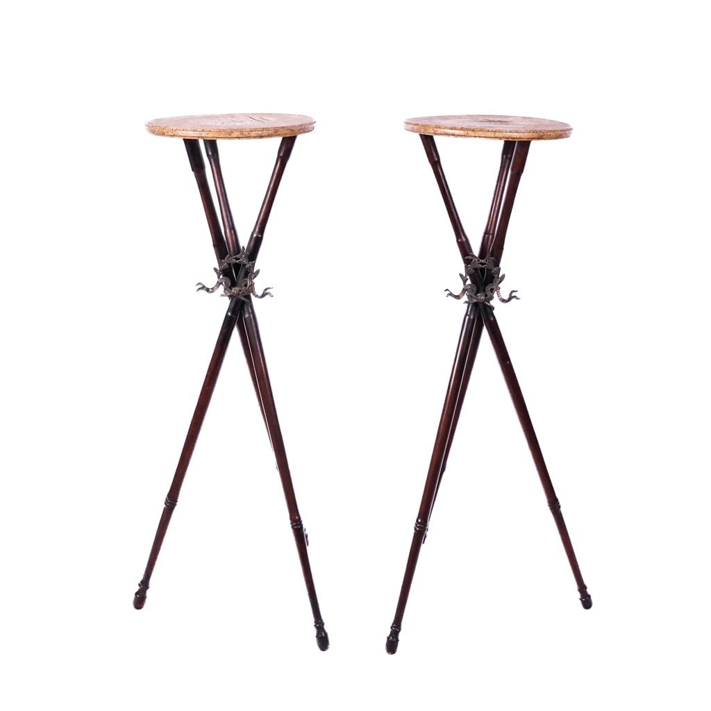 Pair of Neoclassical Plant Stands (1 of 8)