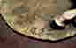 item-12046638=7