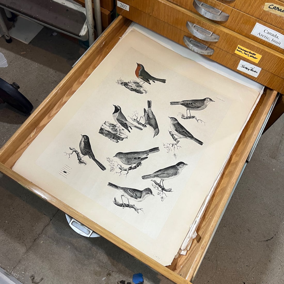 Early 20th Century Architectural Prints (1 of 6)