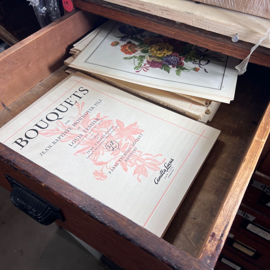 Assorted Vintage Botanical Prints (1 of 8)