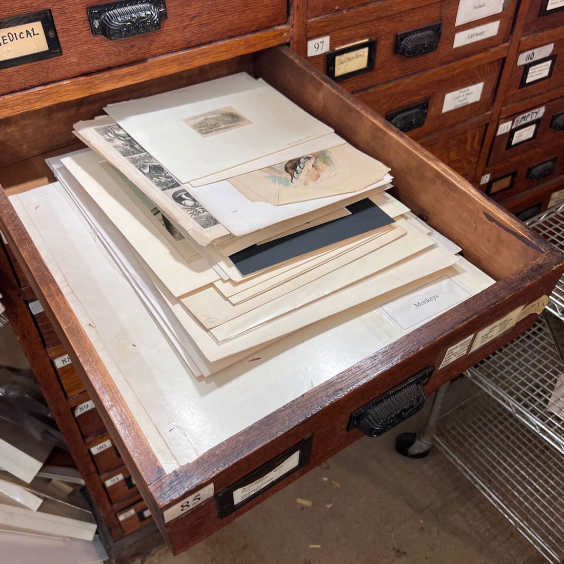 Antique 19th & 20th Century Animal Prints (1 of 9)