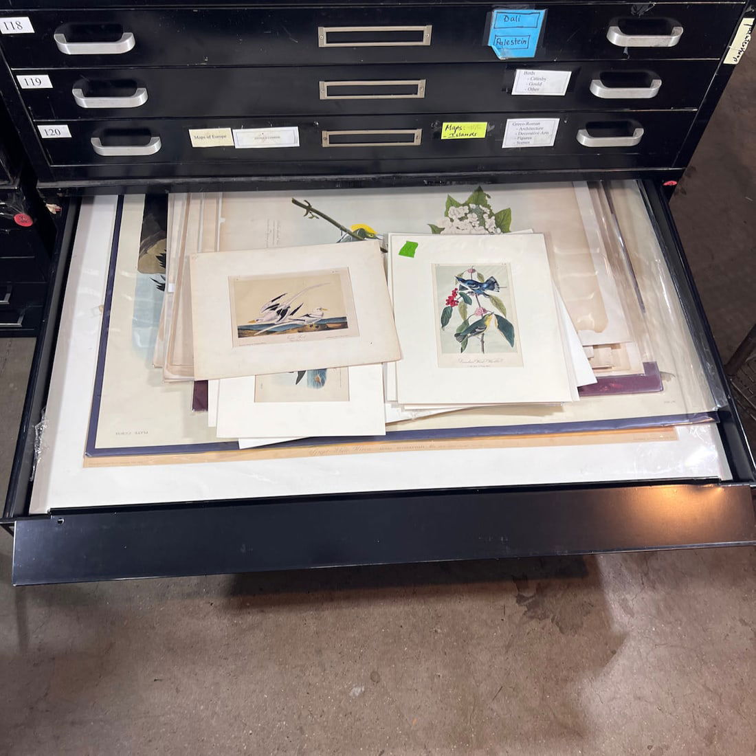 Assorted Ornithological Prints & Etchings (1 of 11)