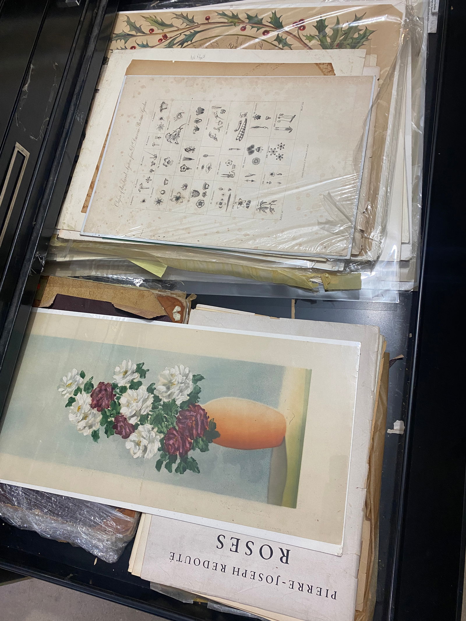 Assorted Vintage Botanical Prints & Publications (1 of 4)