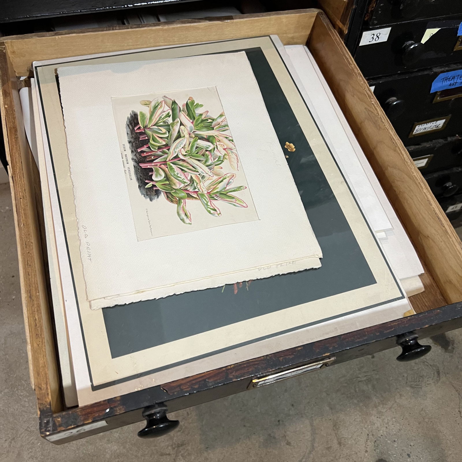 Assorted Antique Botanical Prints & Engravings (1 of 10)
