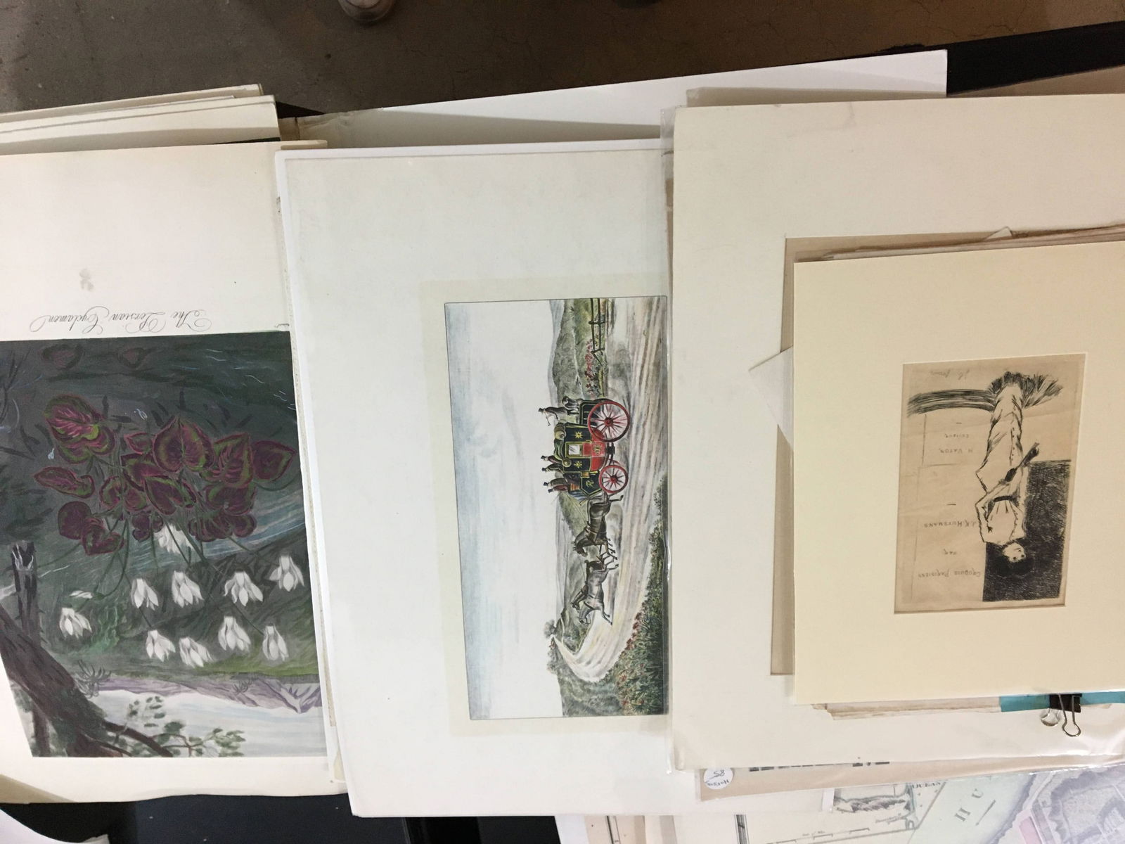 Three Folders on Flora & European Landscapes (1 of 6)