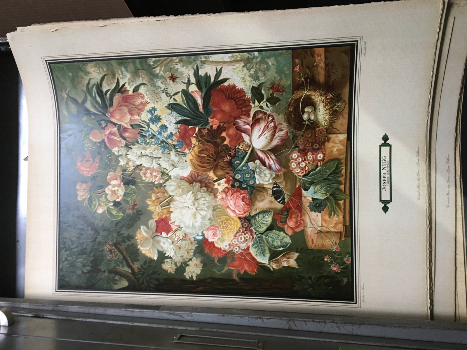 60+ Joseph NIGG Reproduction Prints: Large group of approximately 60+ Joseph Nigg reproduction prints, some on hard paper and others rollable, many multiples. [Paper: 32" H x 24" W]. Mostly very good condition. Provenance: Phyllis Lucas 