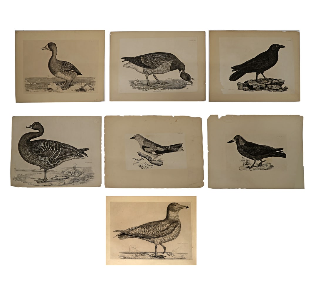 Prideaux John SELBY, MITFORD, Etc.: Seven Etchings (1 of 5)