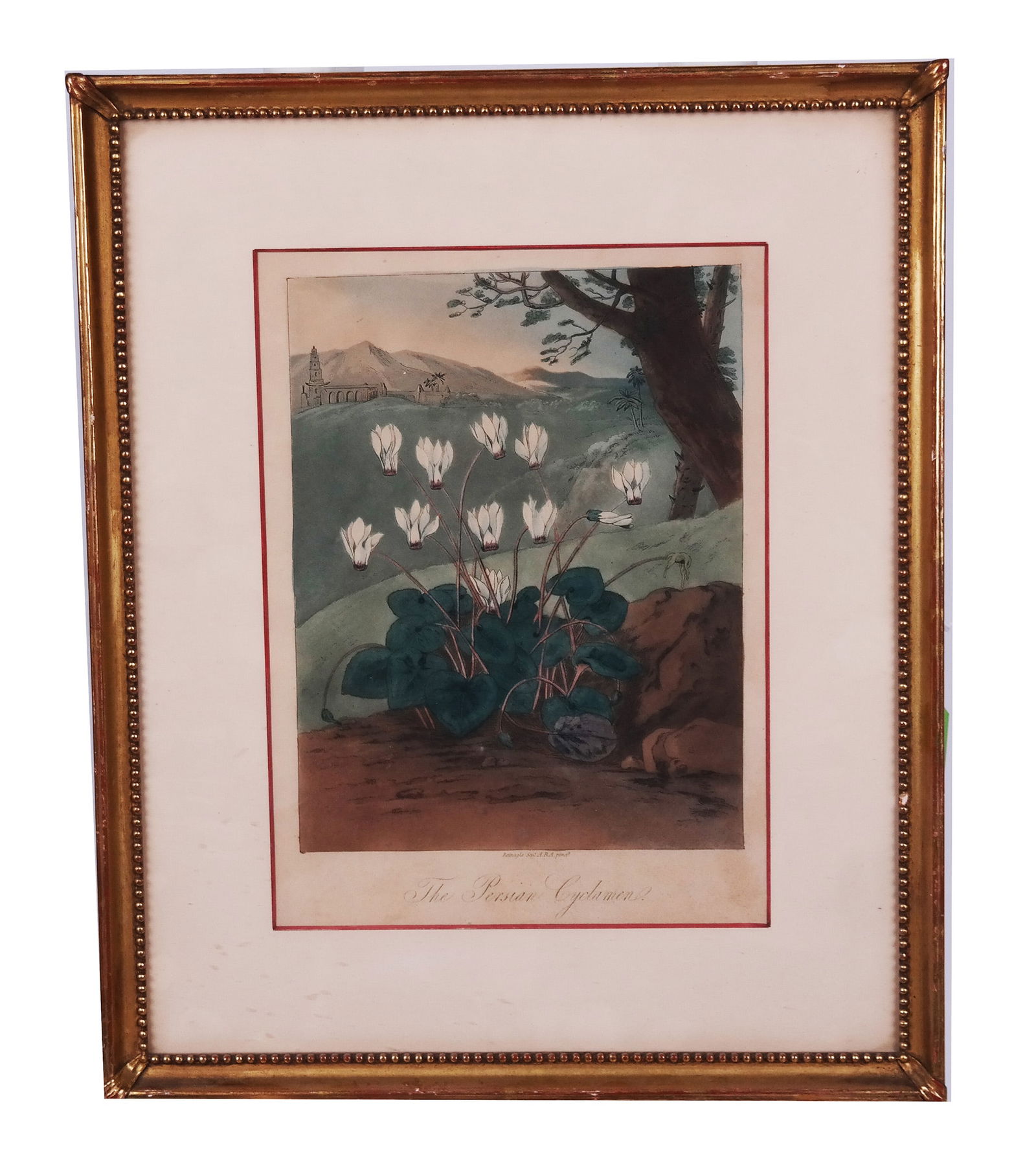 After Abraham PETHER: Botanical Print With Castle (1 of 6)