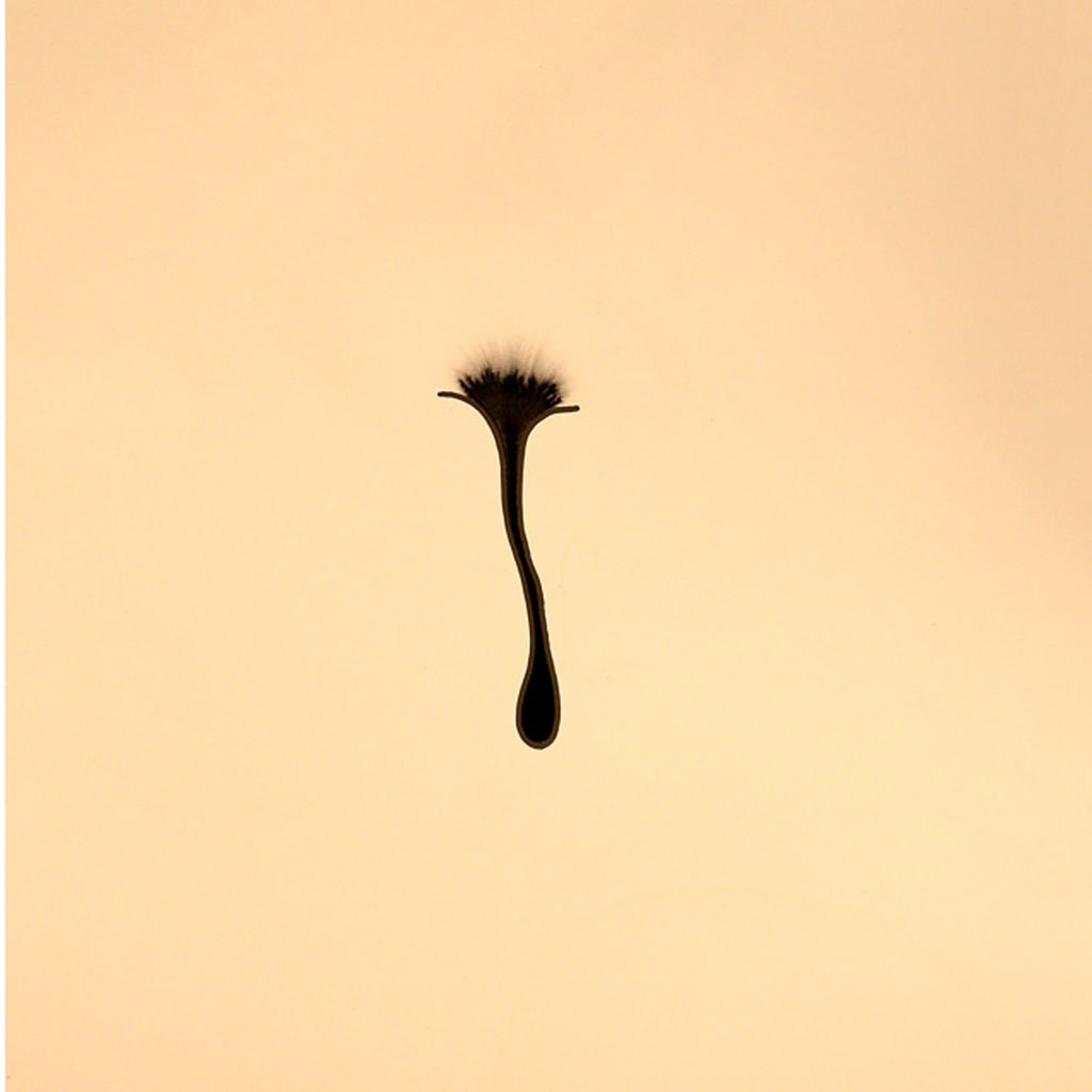 Ernesto NETO: "Body Soul" - Ink on Paper (1 of 4)