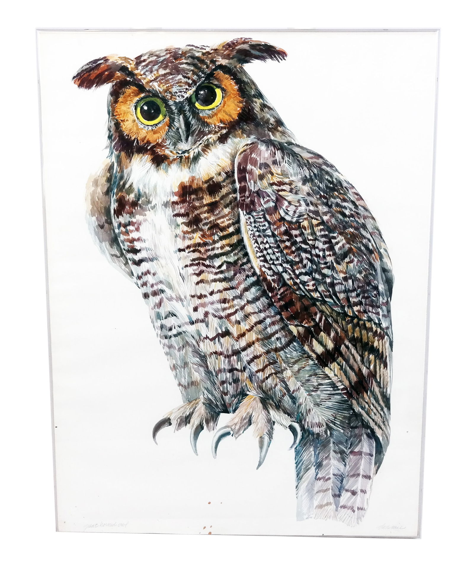 Don NICE: Great Horned Owl - W/C Painting (1 of 7)