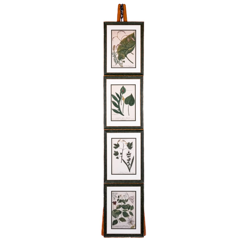 Set of 4 Botanical Prints (1 of 17)