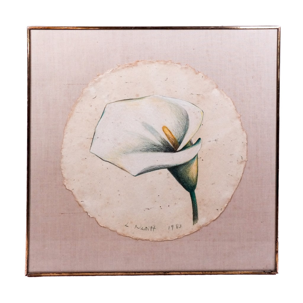 Lowell NESBITT: Calla Lily, Colored Pencil Drawing (1 of 7)