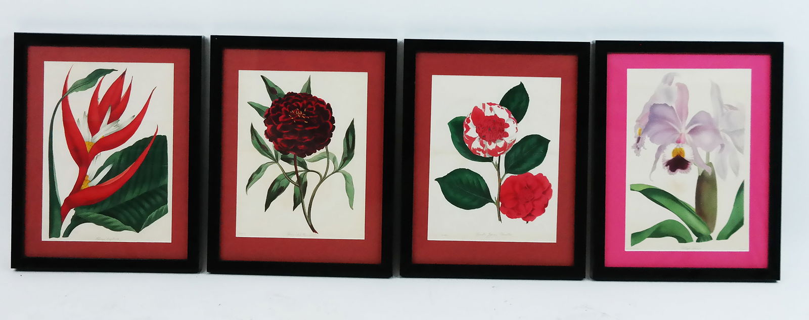 Four Nicely Framed Vintage Botanical Prints (1 of 9)