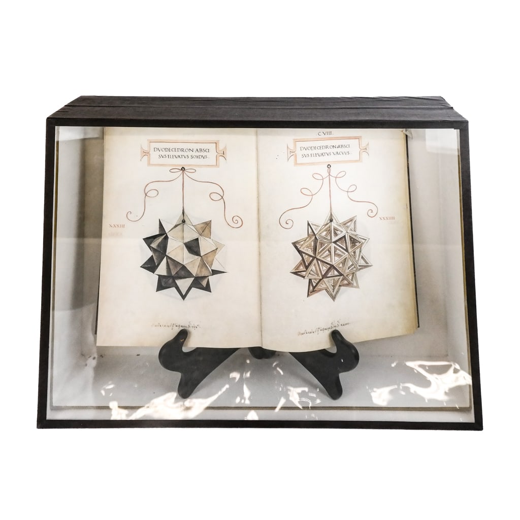 Reproduction of Latin/Italian Book in Shadowbox (1 of 11)