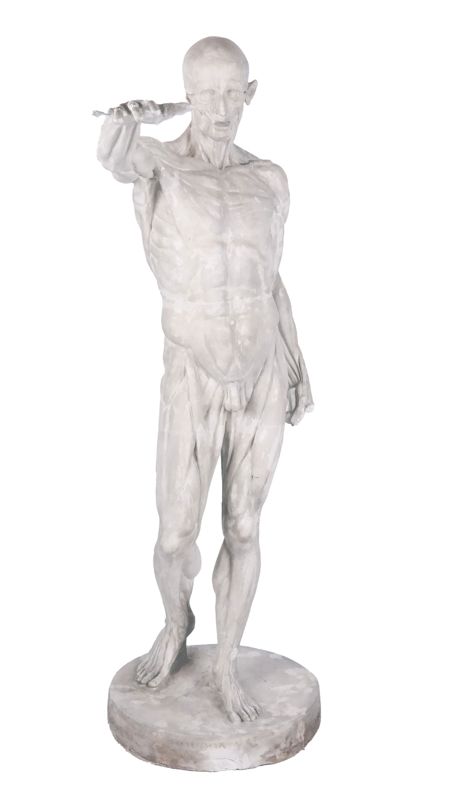 After J-A HOUDON: "L'Ecorche" - Plaster Statue (1 of 14)