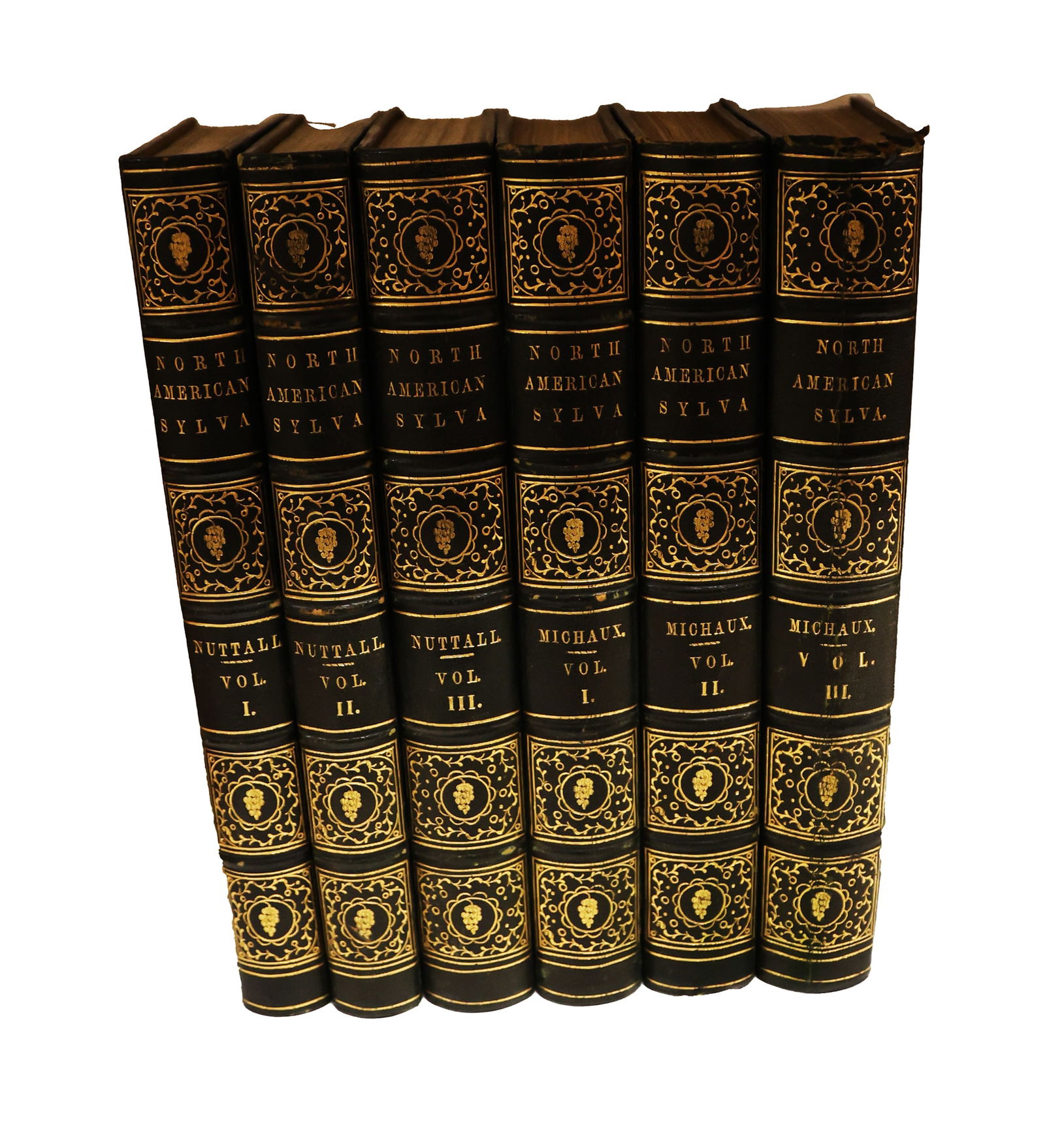 6 Volumes: "North American Sylva..." (1 of 3)