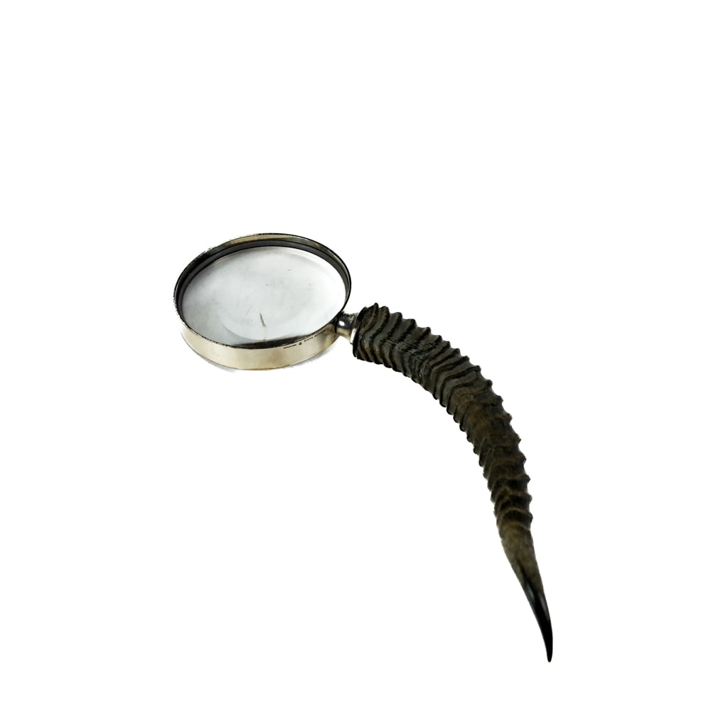 Hermes Horn Handle Magnifying Glass (1 of 9)