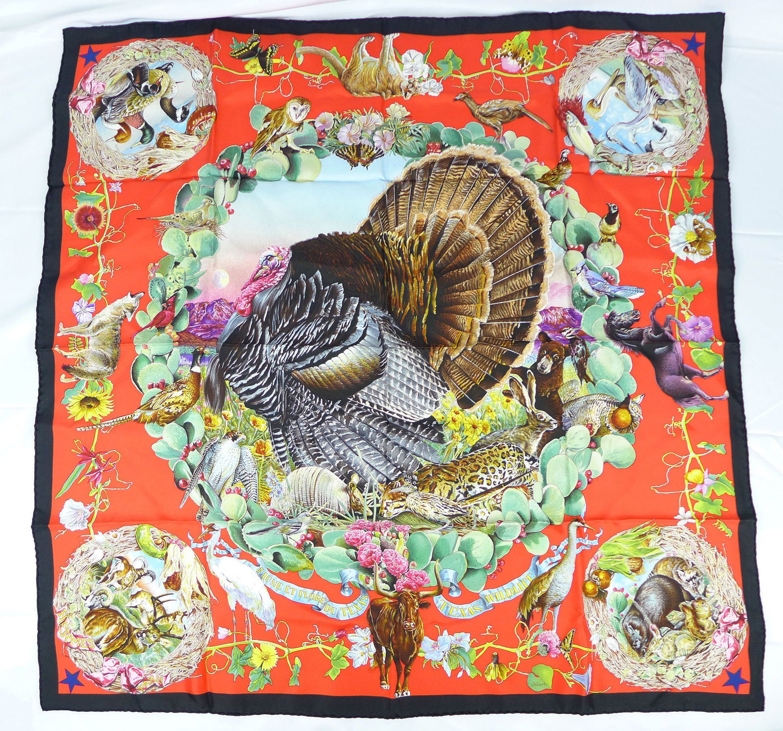 Vintage Hermes Paris Silk Scarf "Faune et Flore Du Texas" with box (1 of 9)