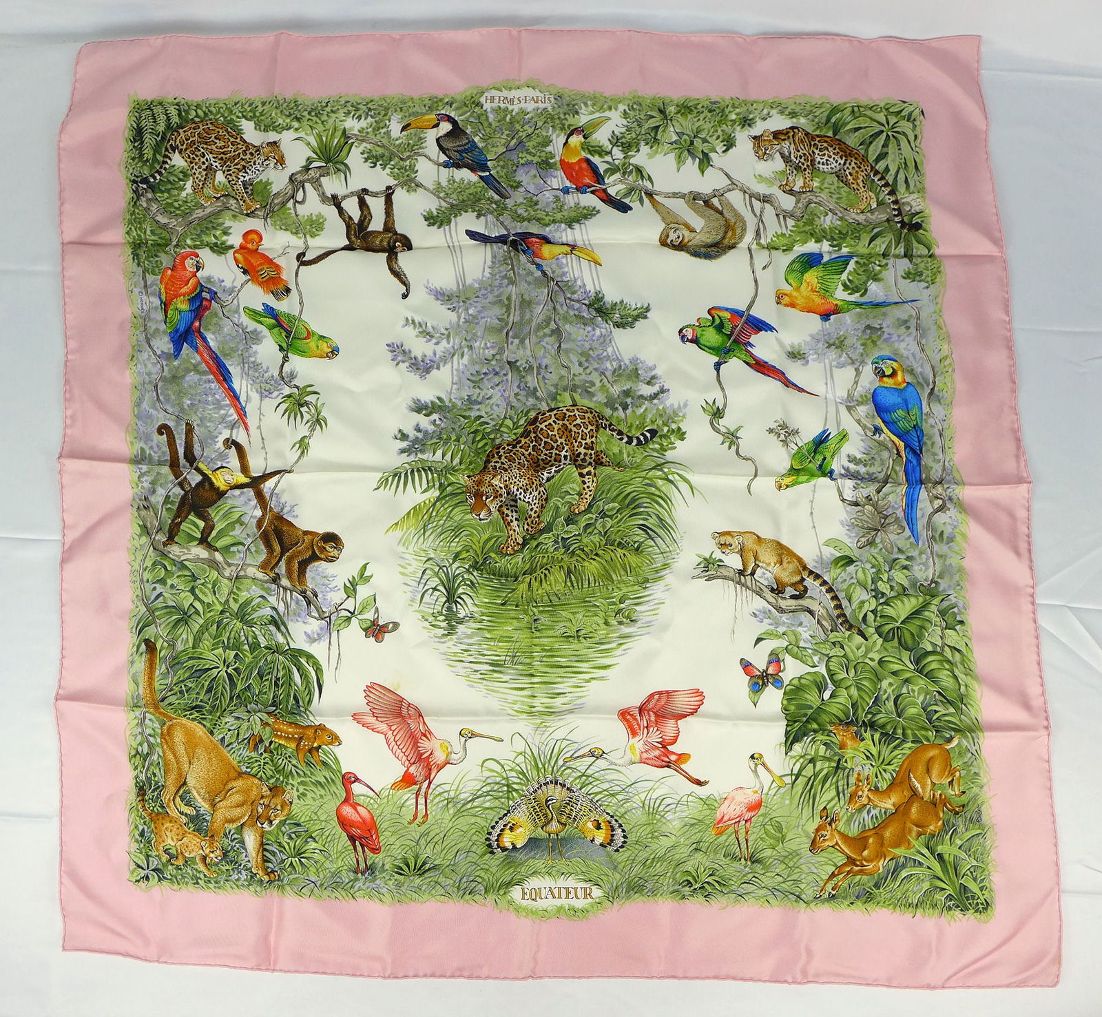 Vintage Hermes Paris Silk Scarf "Equateur" with box (1 of 11)