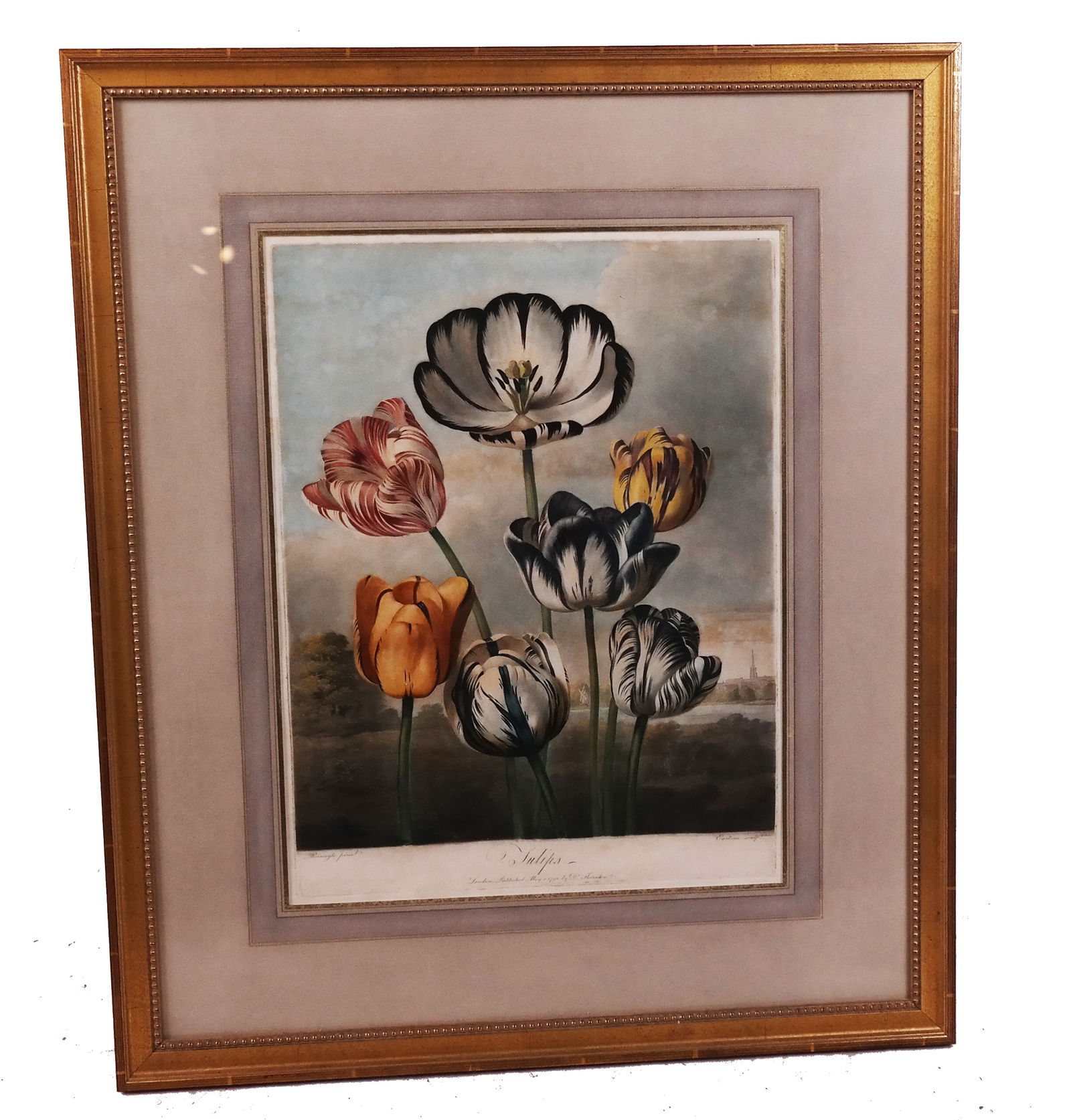 Philip REINAGLE: Hand-Colored Print (1 of 13)