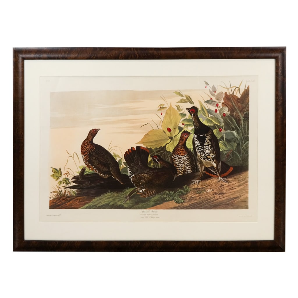 J.J. AUDUBON: Reproduction Large Print (1 of 9)