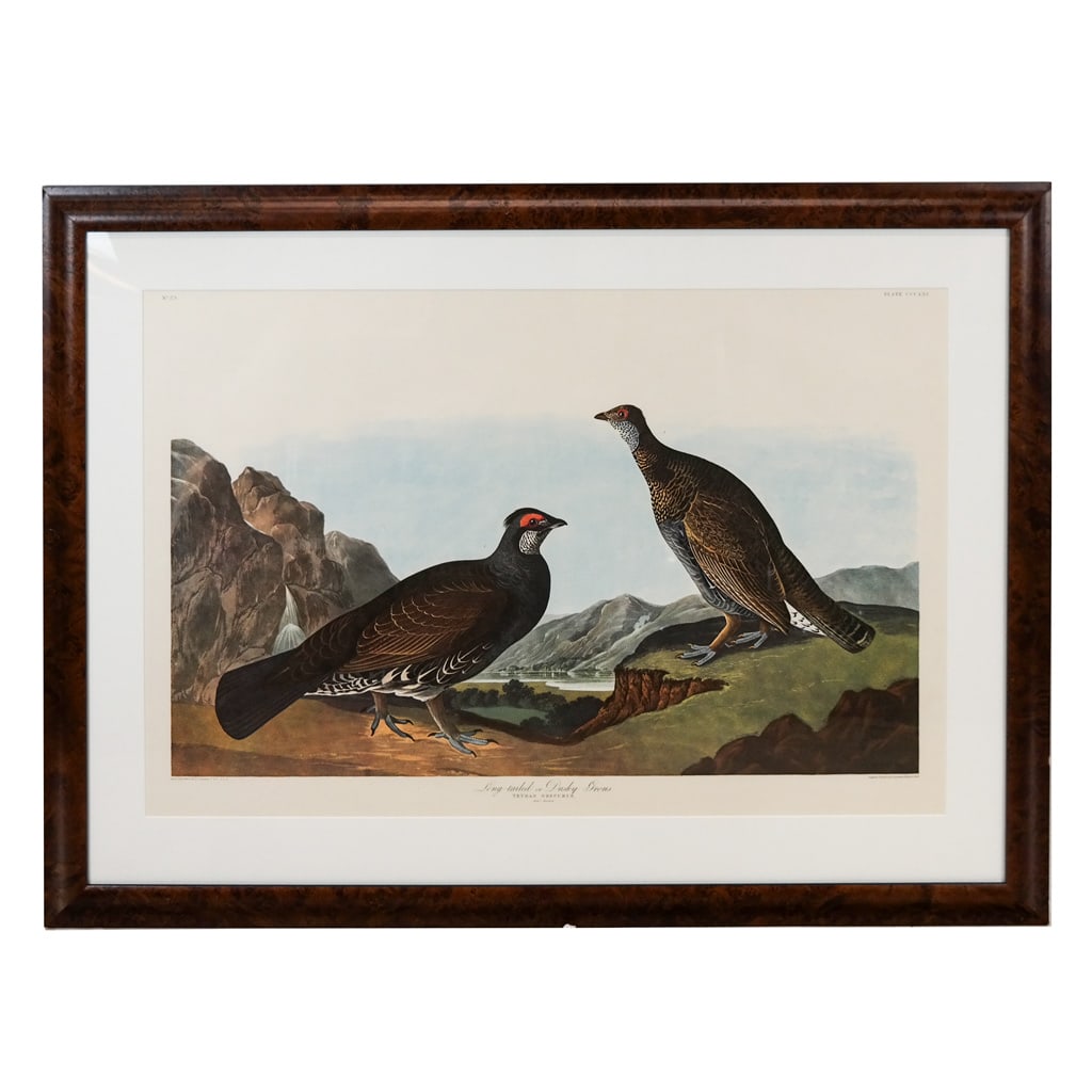 J.J. AUDUBON: Reproduction Large Print (1 of 12)