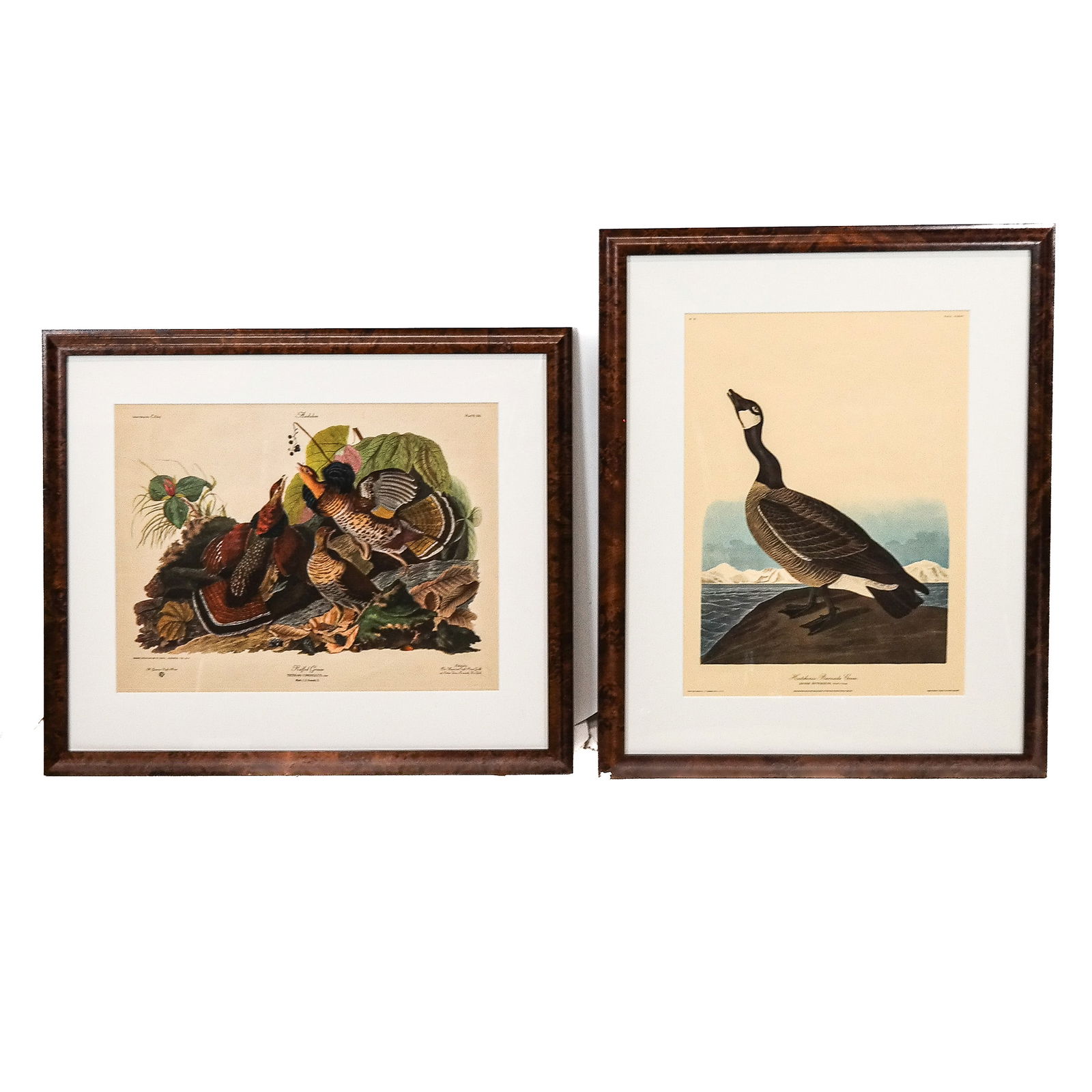 J.J. AUDUBON: Pair of Reproduction Prints (1 of 14)