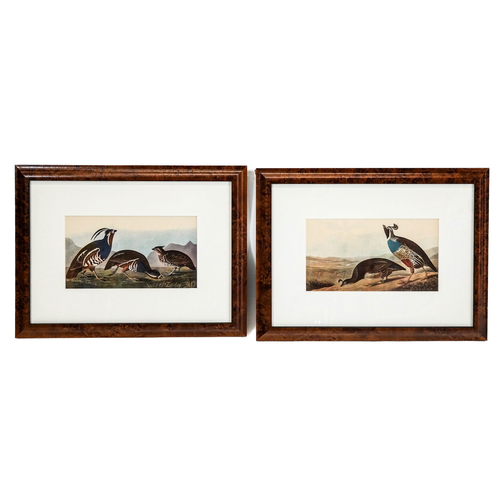 J.J. AUDUBON: Pair of Reproduction Prints (1 of 6)