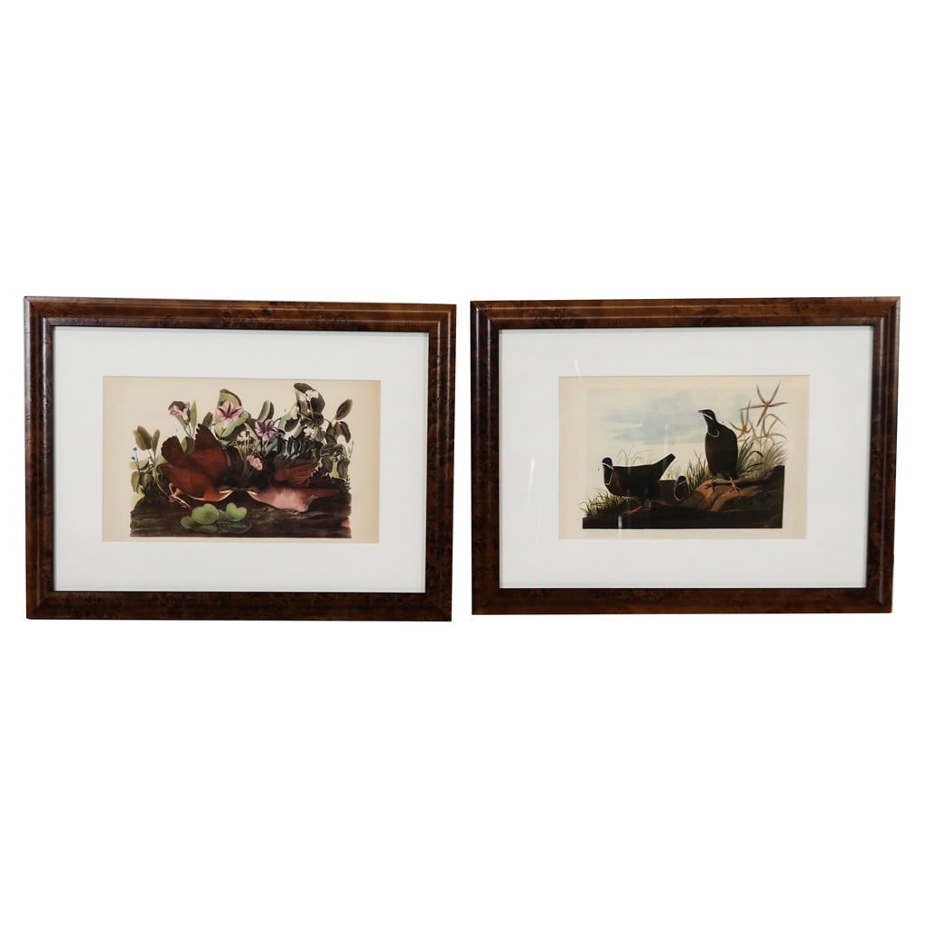 J.J. AUDUBON: Pair of Reproduction Prints (1 of 10)
